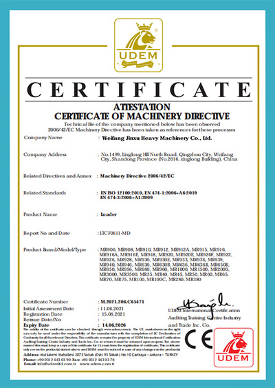 Certificate (11)